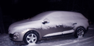 Bilvård: Så här kan skydda bilen på vintern Renault Megane