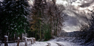 Krav på vinterdäck 1 december till 31 mars – vid vinterväglag Vinter. Foto: Peter H. Licens: Pixabay.com (free use)